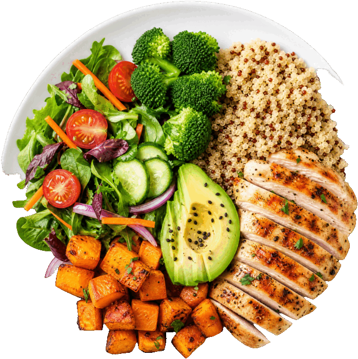 Zepym Health Meals plate